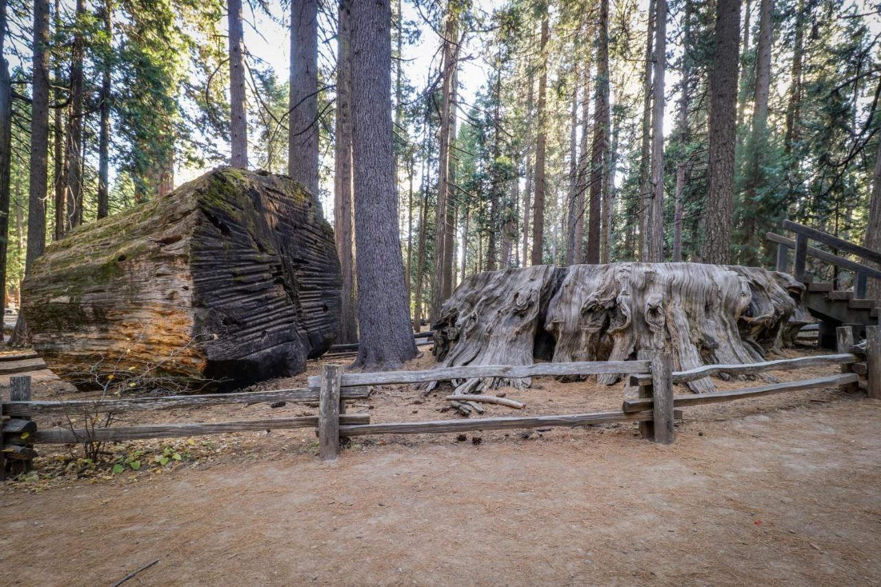 فيلا Hikers Haven أرنولد المظهر الخارجي الصورة