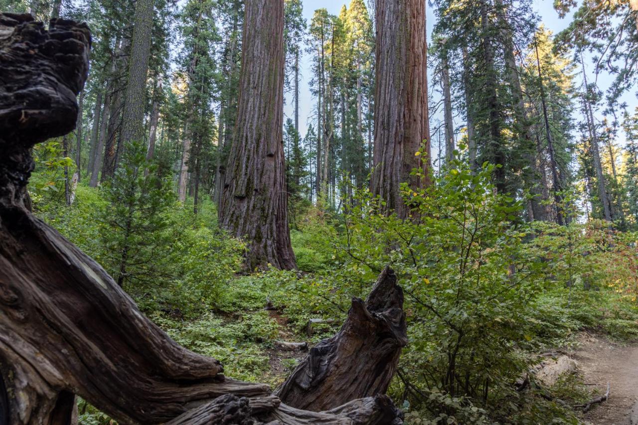 فيلا Hikers Haven أرنولد المظهر الخارجي الصورة