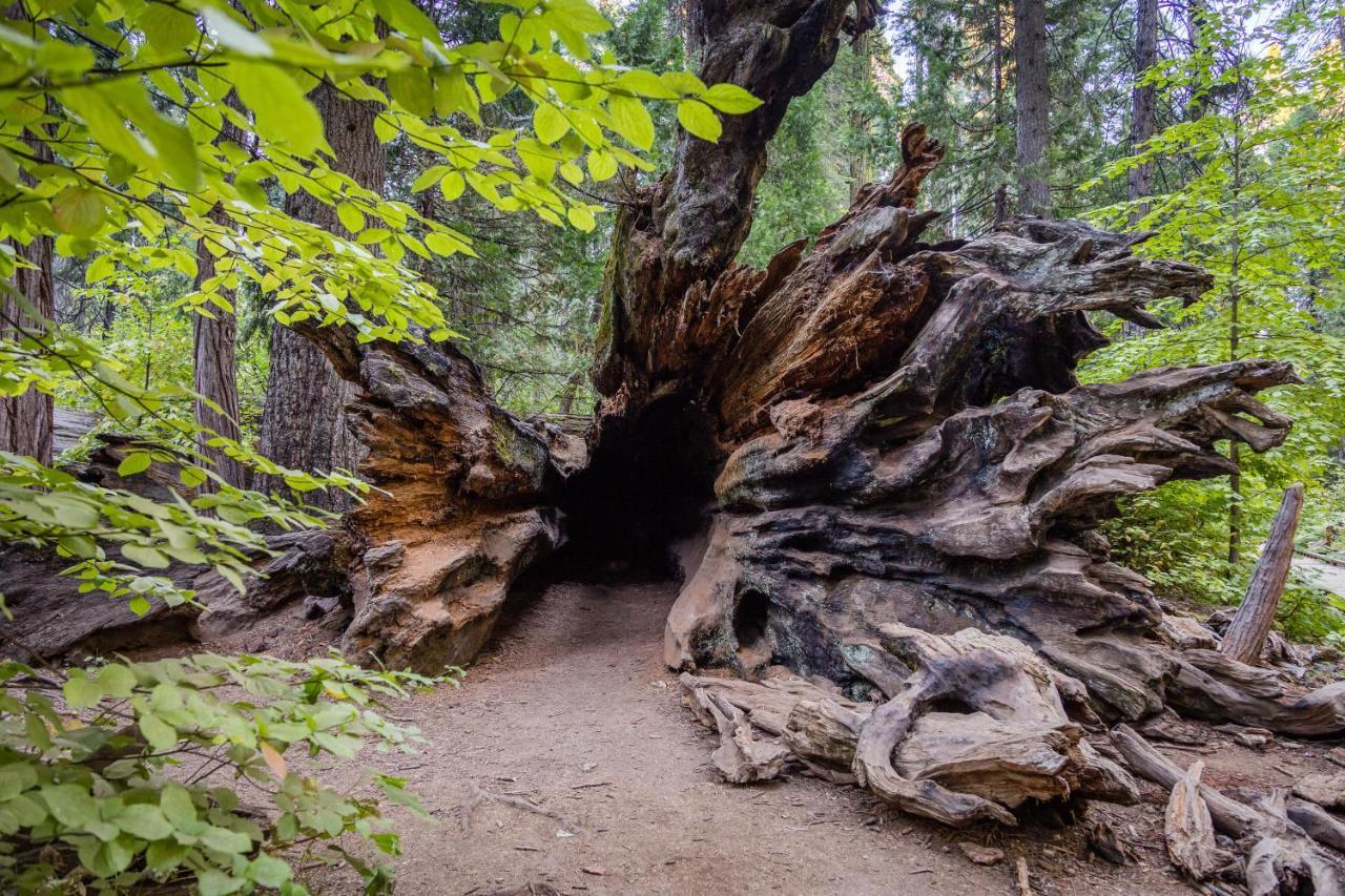 فيلا Hikers Haven أرنولد المظهر الخارجي الصورة